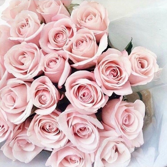 Meet your Posher, Alyssa - Picture 1 of 1